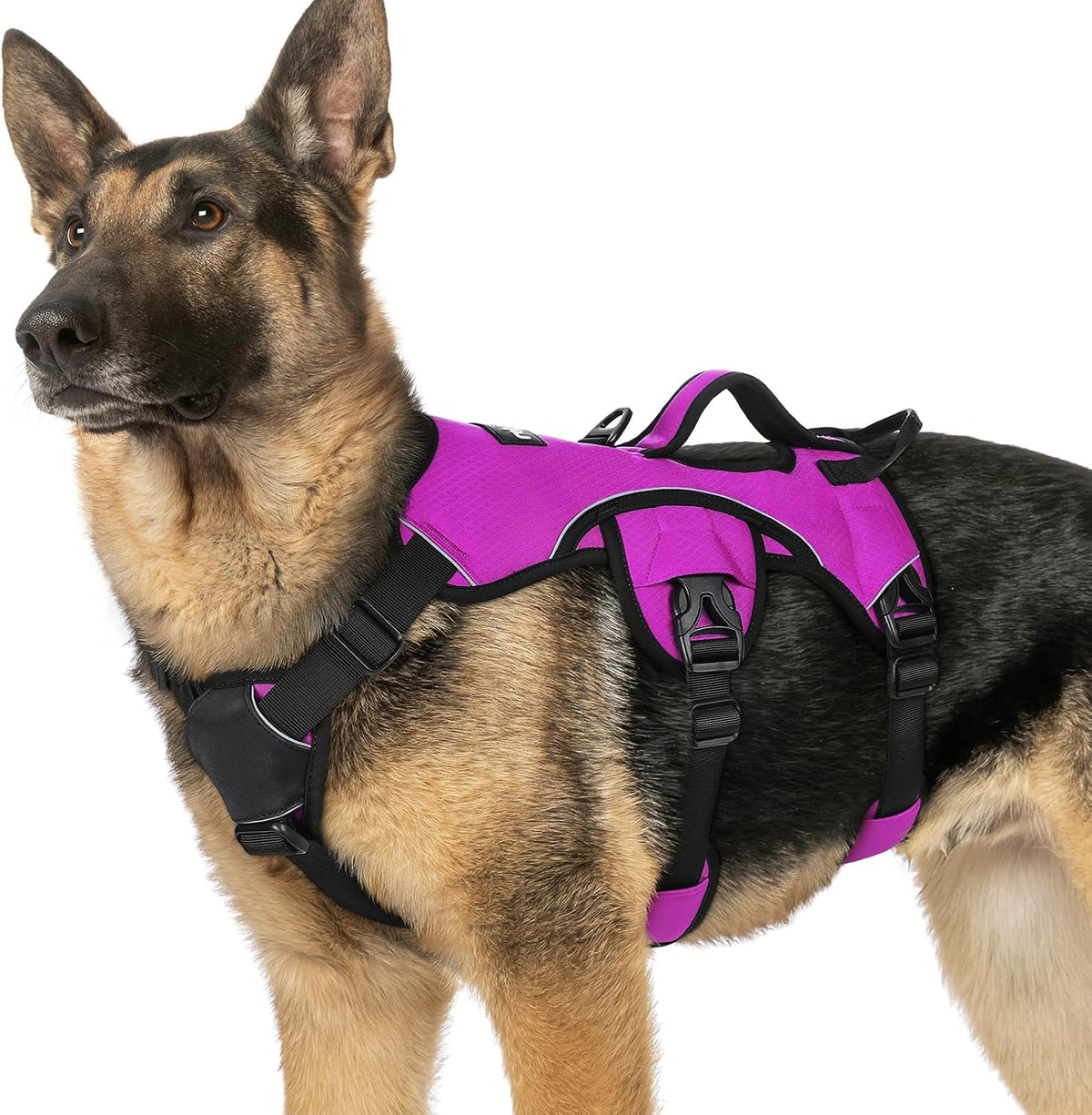 rabbitgoo Escape Proof Dog Harness, Soft Padded Full Body Pet Harness, Reflective Adjustable No Pull Vest with Lift Handle and Leash Clip for Large Dogs Walking Hiking Training, L, Black - Image 9