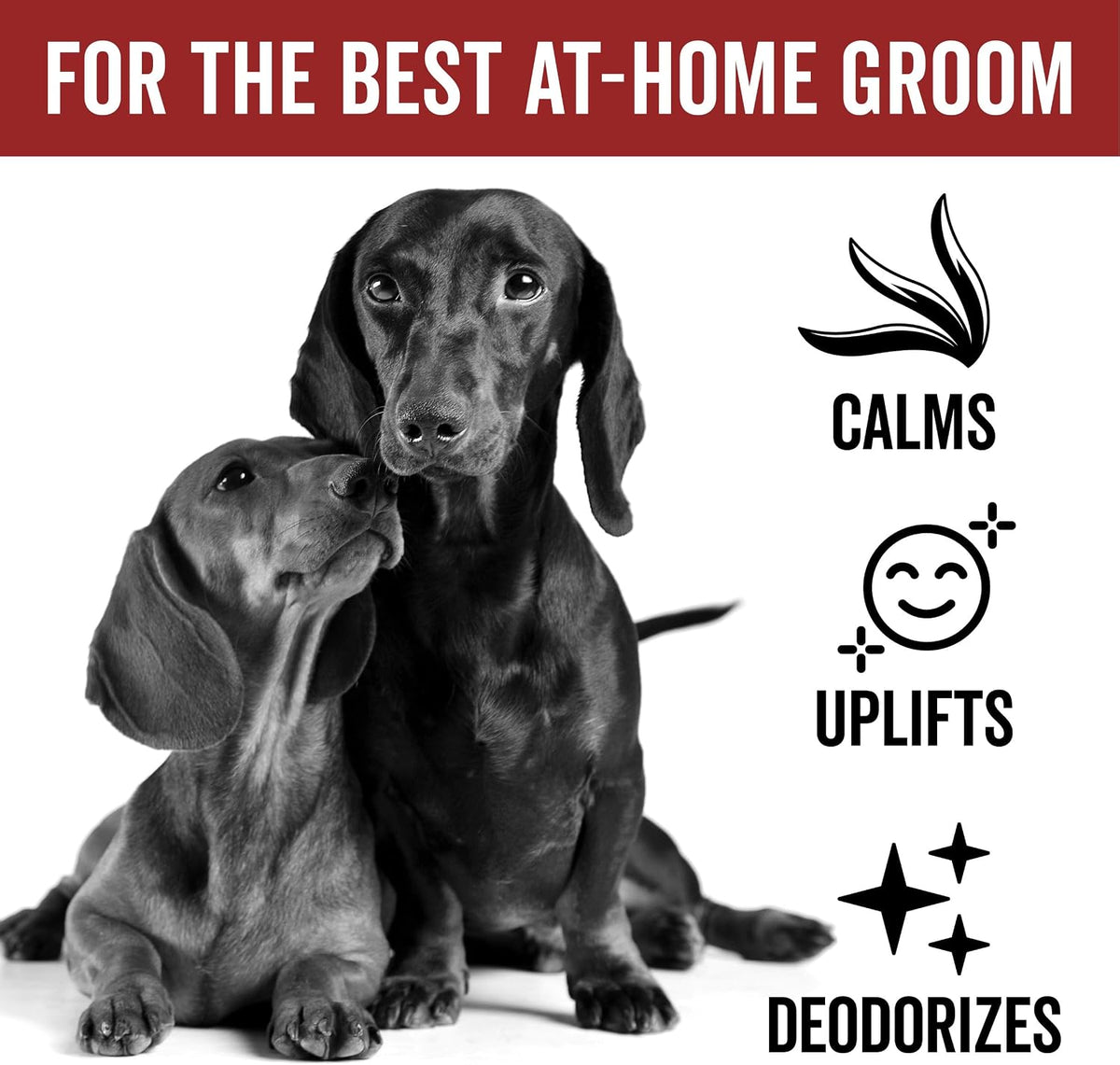 PRIDE AND GROOM luxury dog cologne 8 fluid ounce bottle for coat refreshing