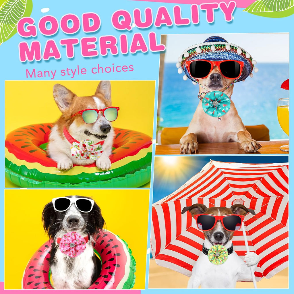 Small puppy wearing a pineapple patterned summer collar charm accessory