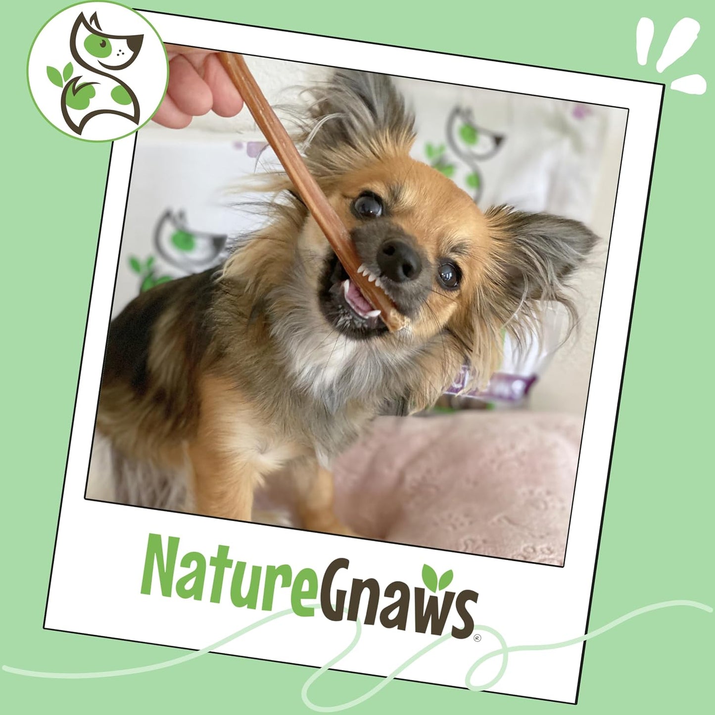 Healthy dental care treats for reducing plaque and tartar in small dogs