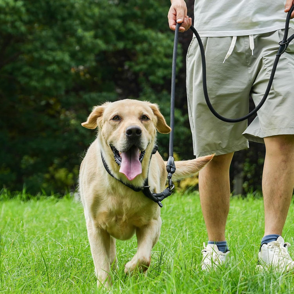 Morxil strong nylon dog leash for large dogs outdoor training