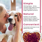 Prebiotic fiber rich red beet supplement granules for adult dogs and puppies