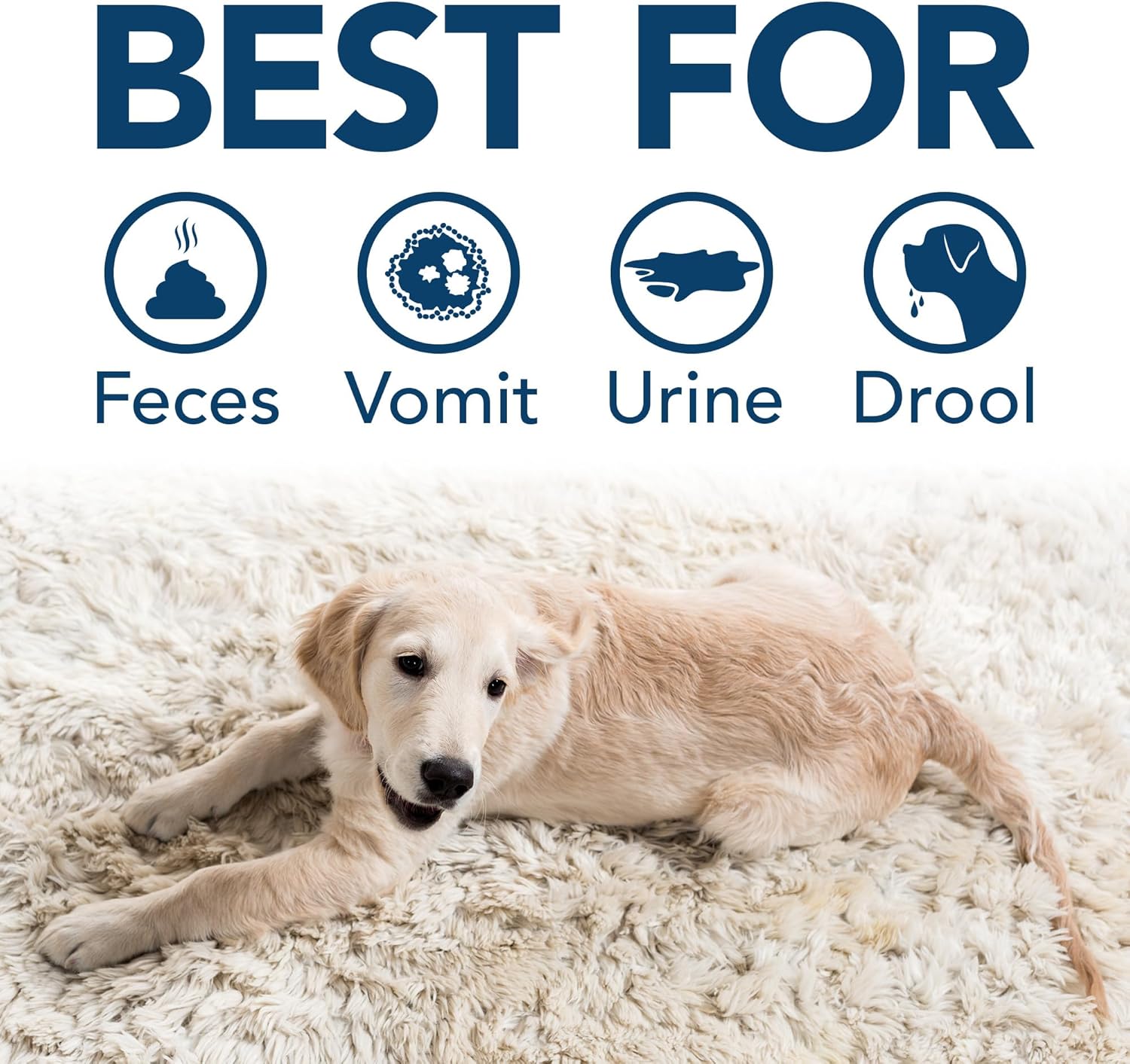 Back label of Simple Solution pet stain remover detailing the application steps for carpet cleaning.