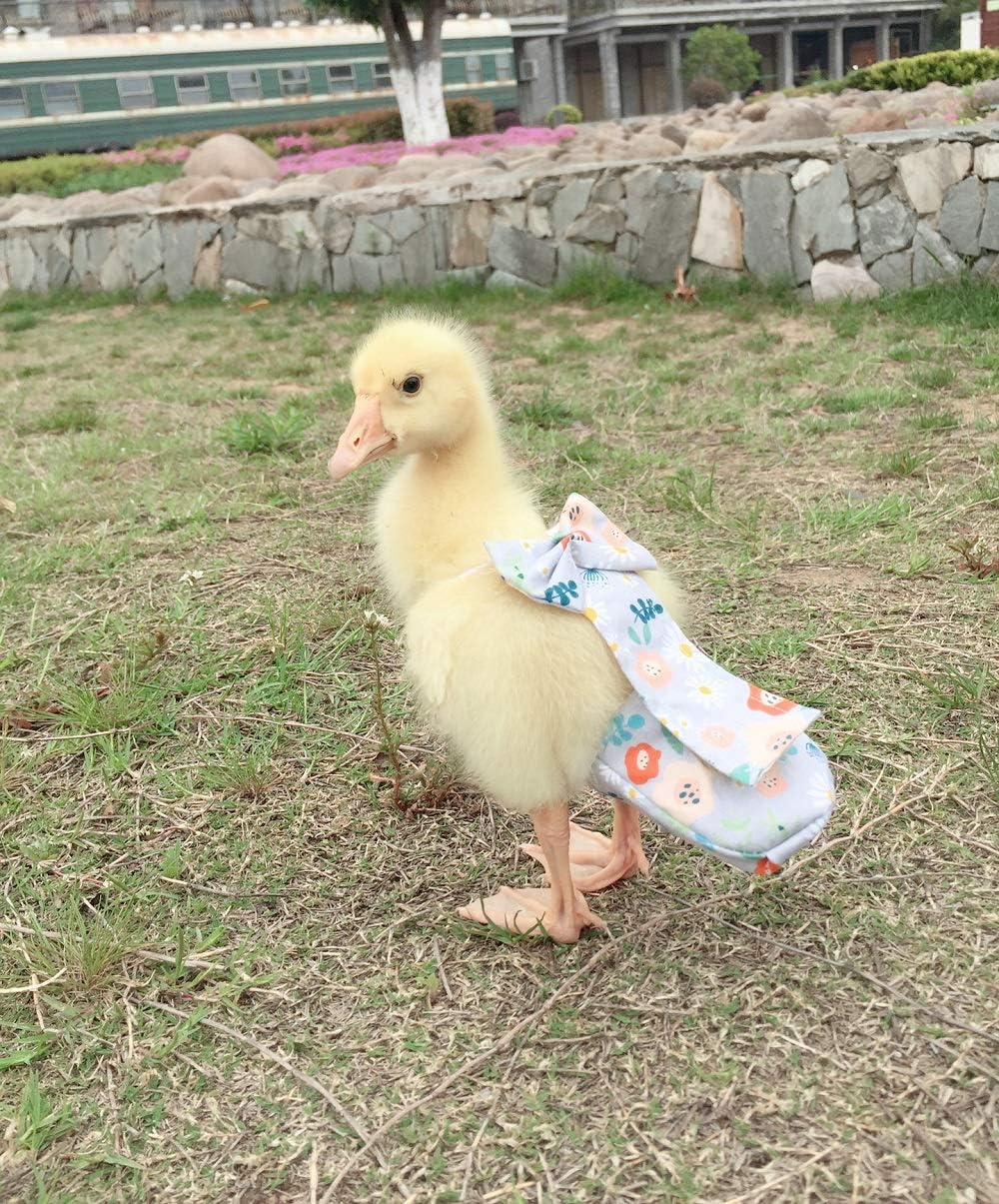 Duckling wearing floral HEZHUO reusable nappy