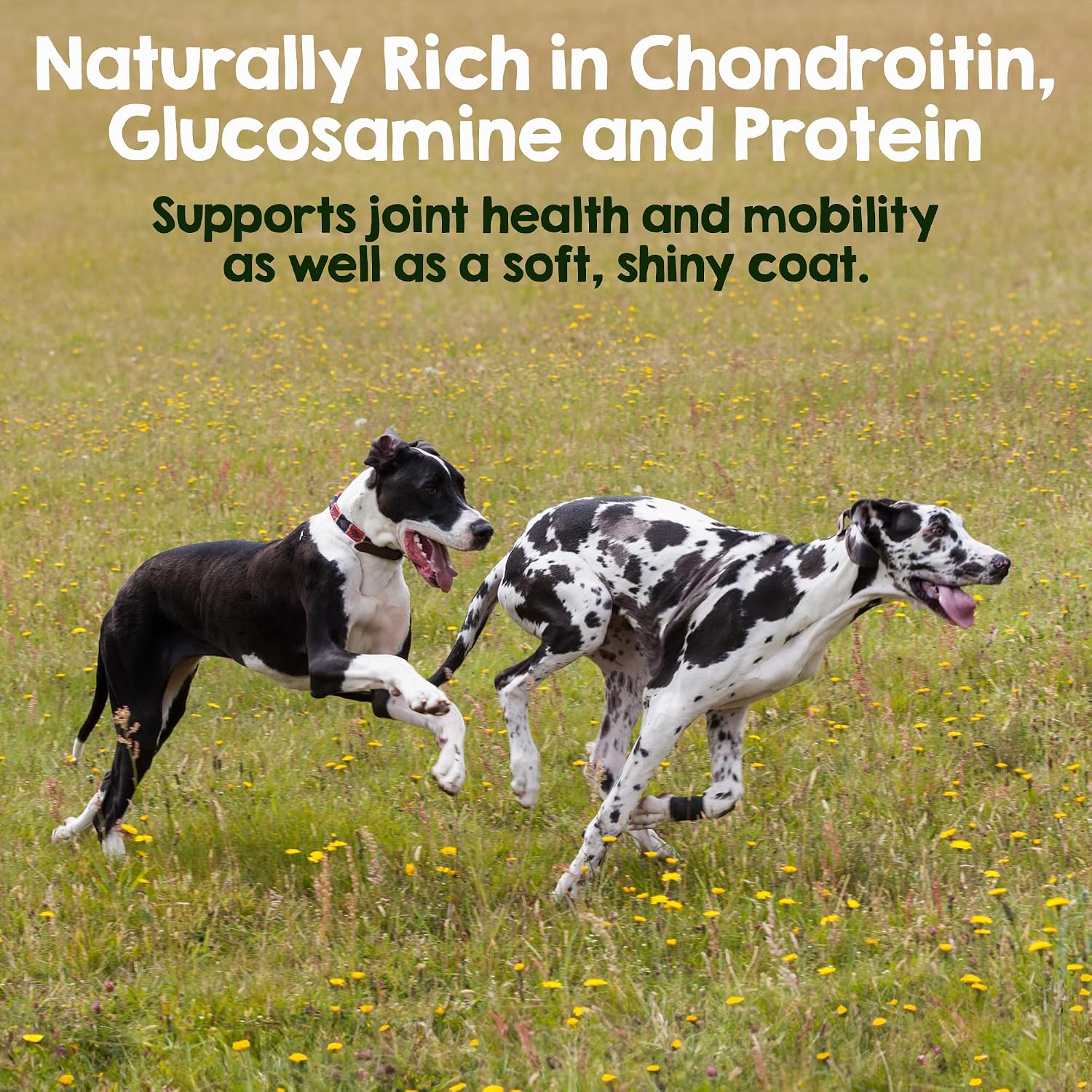 Premium odorless steer sticks for extra large dog breeds