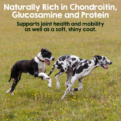 Premium odorless steer sticks for extra large dog breeds