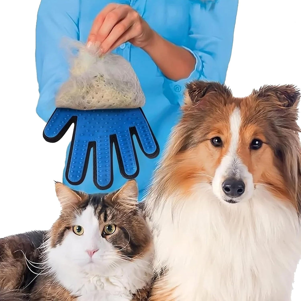 Astra Vena 360 degree silicone finger toothbrush being used for pet dental cleaning