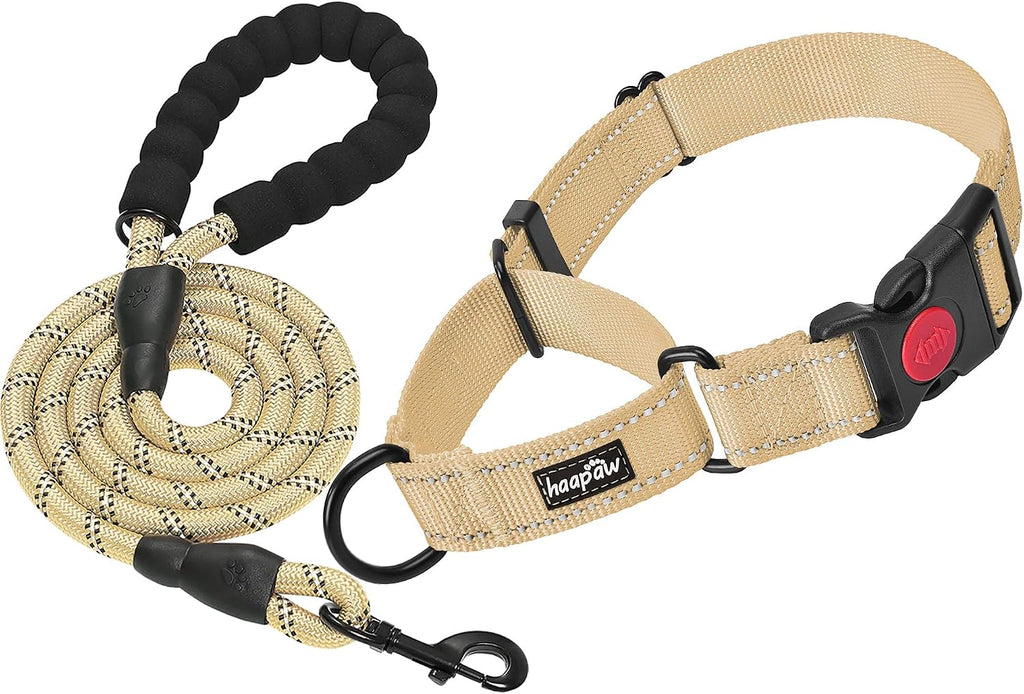 haapaw Martingale Dog Collar with Quick Release Buckle Reflective Dog Training Collars for Small Medium Large Dogs - Image 11