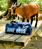 Hoof Boss safety glasses and disc changing tool included in the kit.