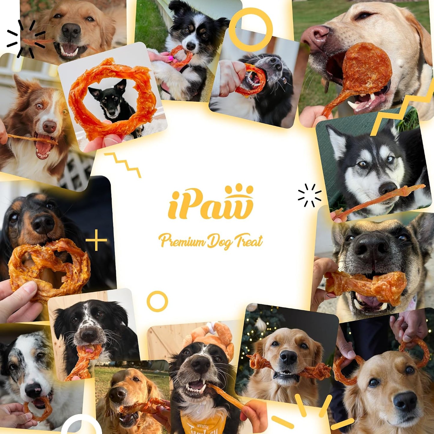 Natural grain free dog chew by iPaw designed for puppy dental care and hygiene.