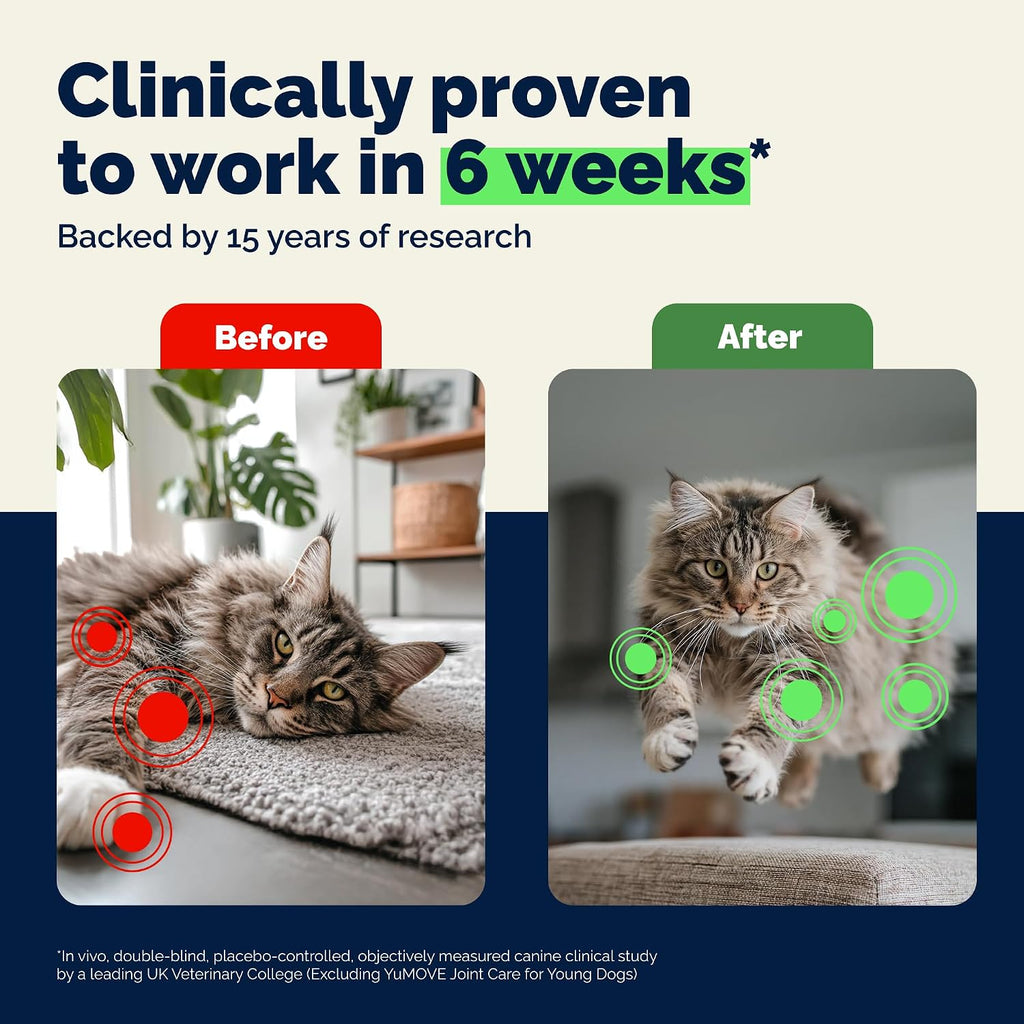 Close up of YuMOVE joint care bottle for cats