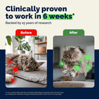 Close up of YuMOVE joint care bottle for cats