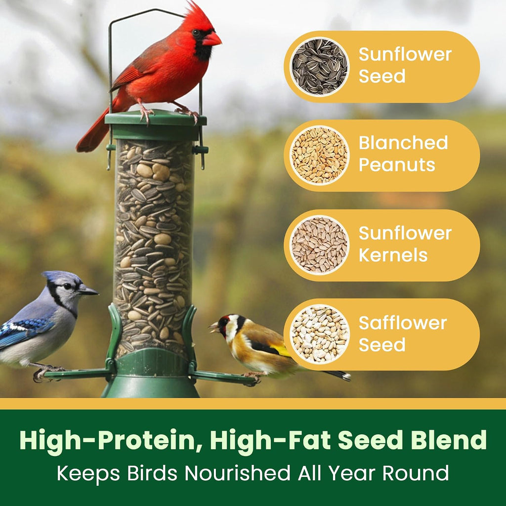 Backyard songbirds eating sunflower and safflower seed mix