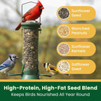 Backyard songbirds eating sunflower and safflower seed mix