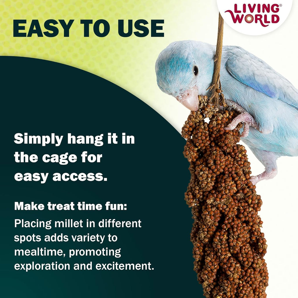 Living World millet spray for birds size comparison