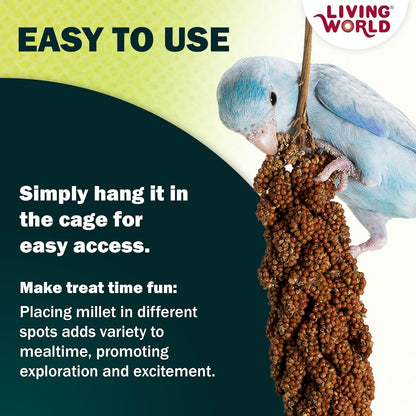 Close up of natural millet spray for finches and cockatiels