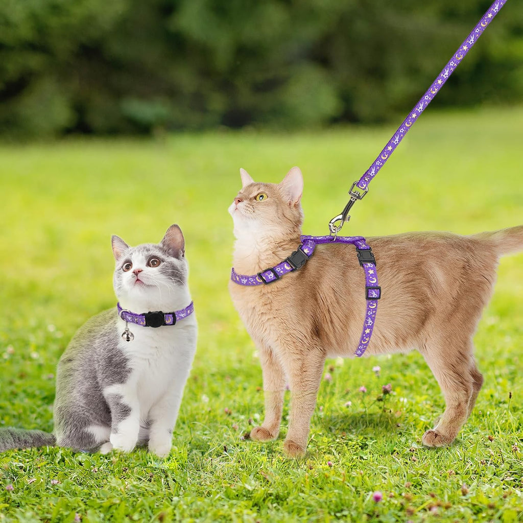 Adjustable PAWCHIE pet walking gear close up on double safety buckles