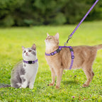 Adjustable PAWCHIE pet walking gear close up on double safety buckles