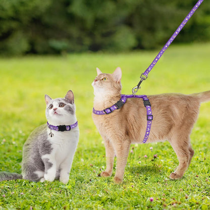 Adjustable PAWCHIE pet walking gear close up on double safety buckles
