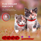 Waterproof flea repellent collar for adult cats close up