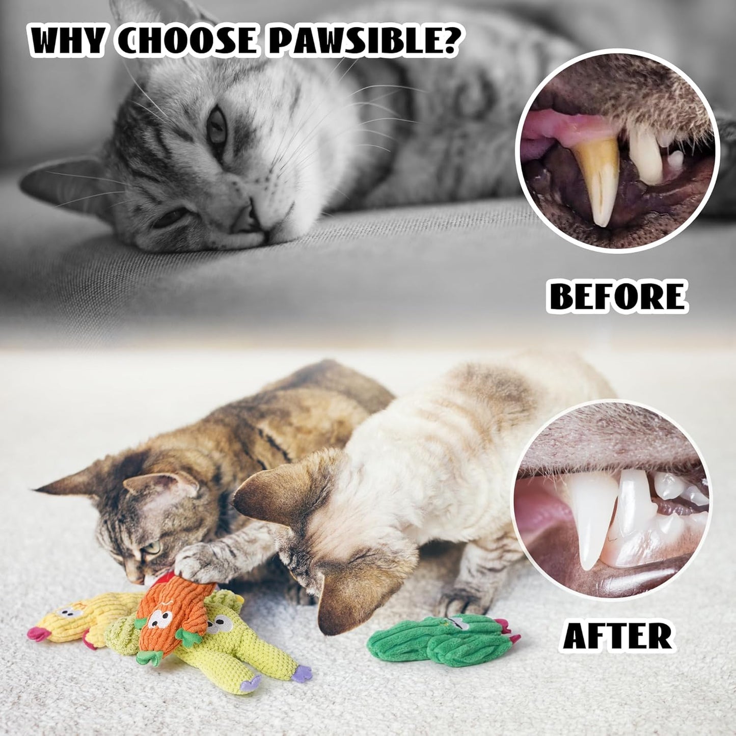 Close up of Pawsible cactus cat toy texture