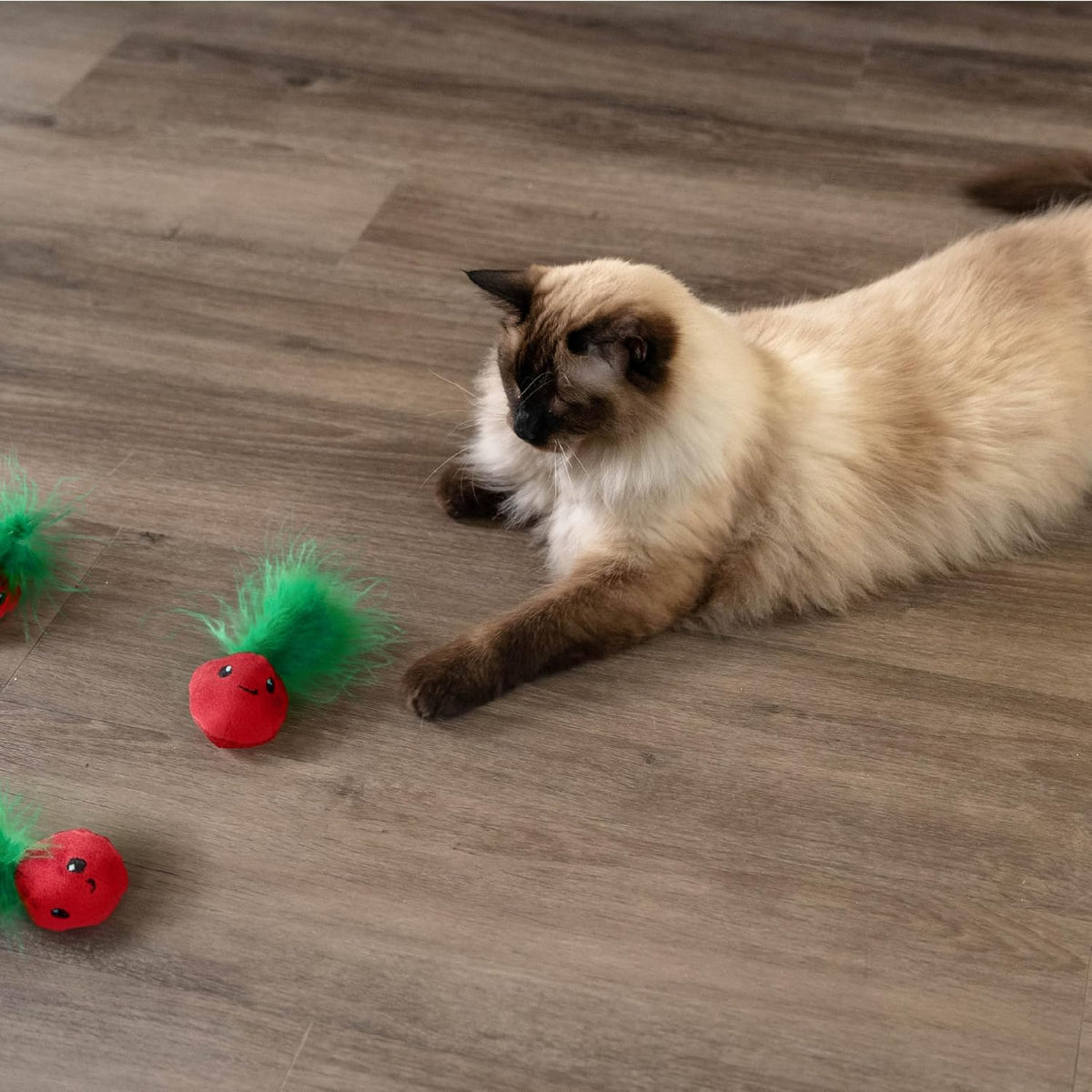 Pink strawberry kitten teething accessories with feathers and built in crinkle sounds.