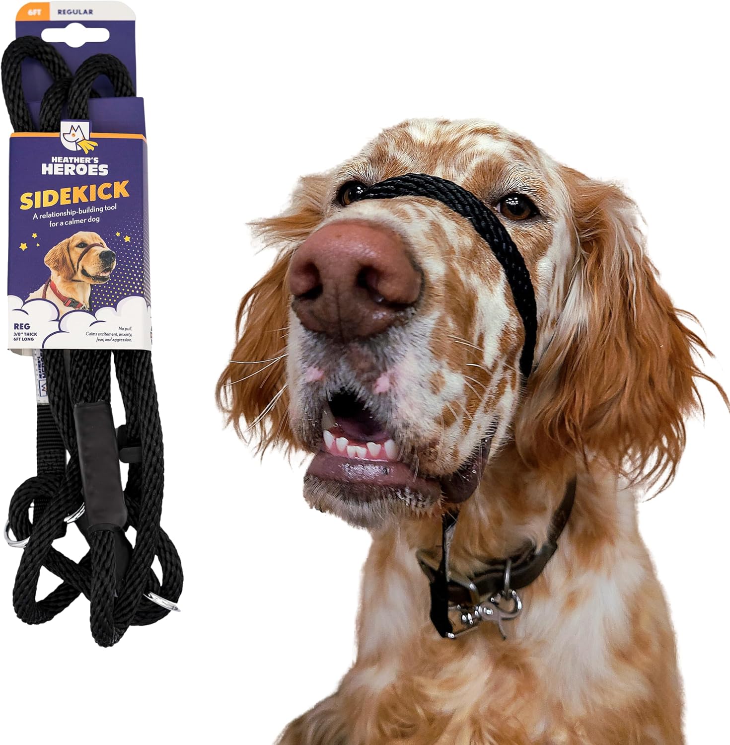 Heather's Heroes Sidekick Dog Headcollar with Leash - Sidekick Leash for Dogs, Effective Dog Training Tool for Leash Reactivity and Behavior Issues (Turquoise, Mini (1/4")) - Image 11