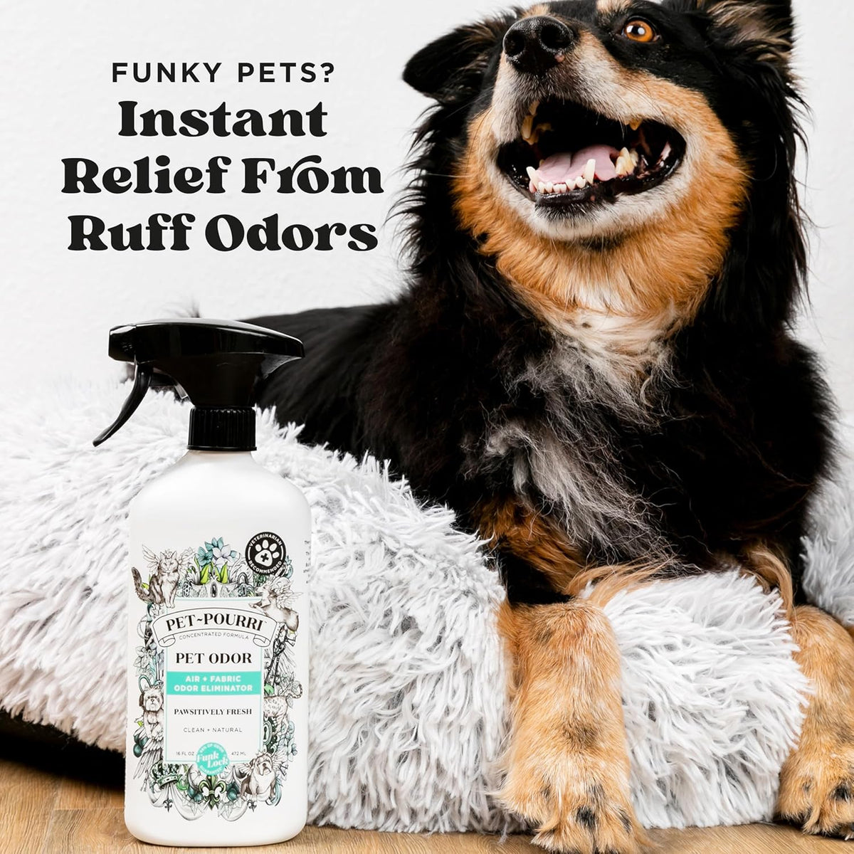 Back of Poo-Pourri pet spray bottle with usage instructions