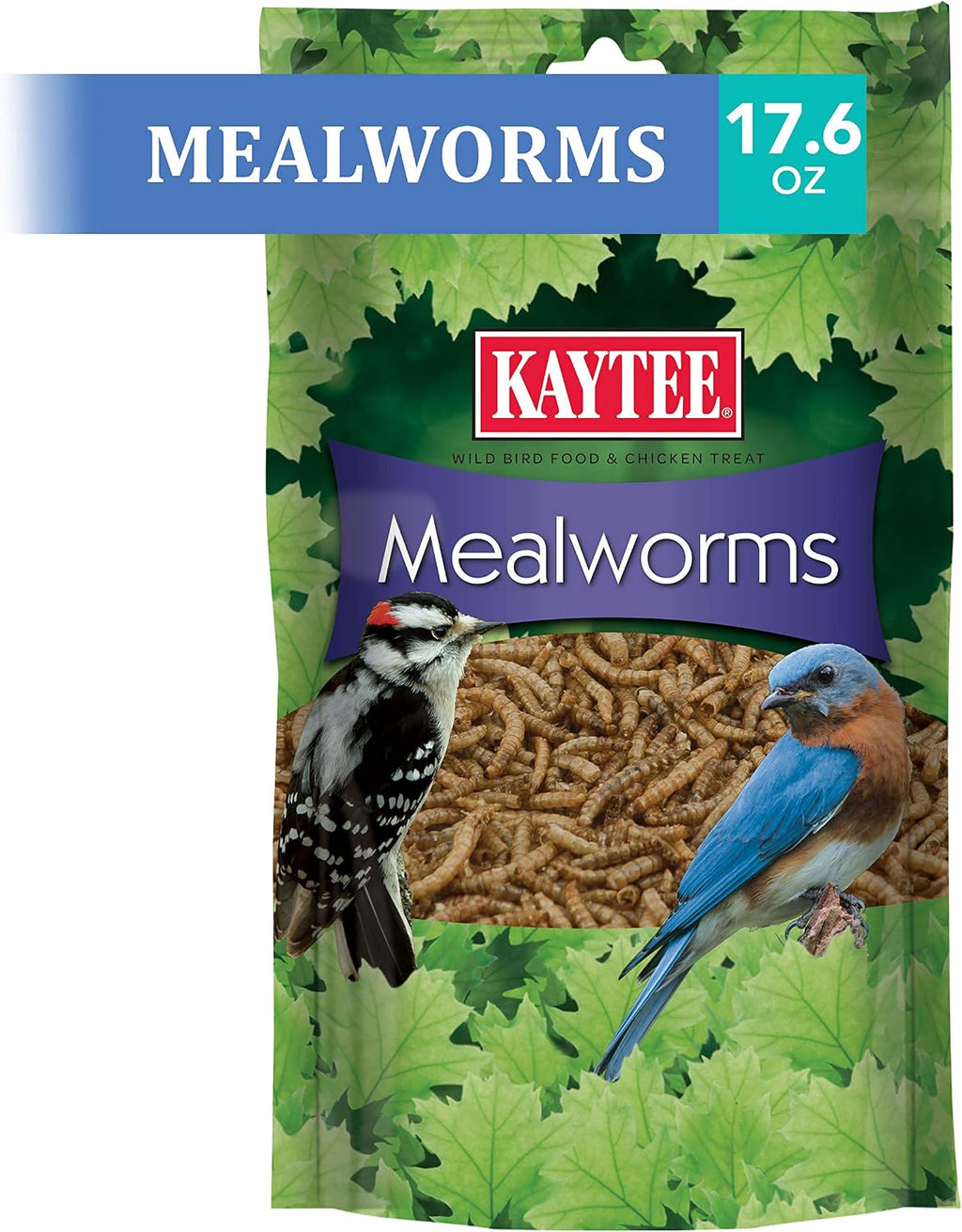 Bluebird eating Kaytee mealworms from a bird feeder