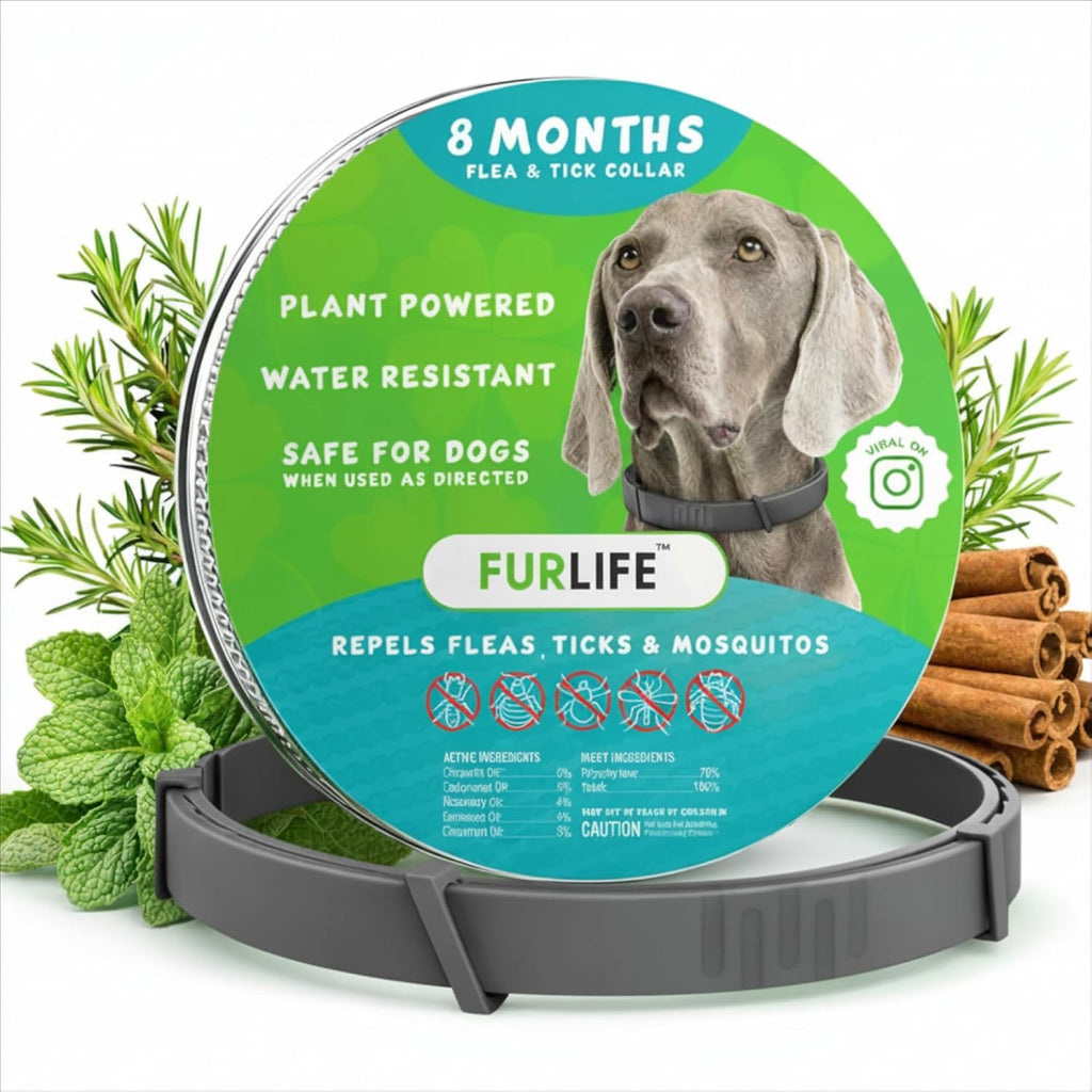 FurLife Flea and Tick Collar for Dogs - Waterproof Red Dog Collar, Pet Supplies for Tick and Flea Prevention for Dogs, Safe for All Breeds - Image 14