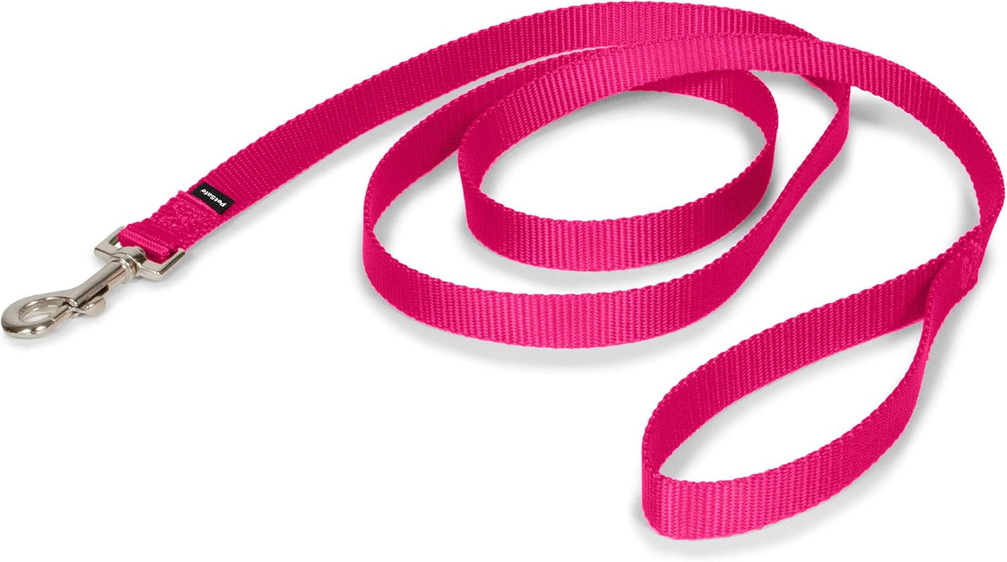 PetSafe Nylon Dog Leash - Strong, Durable, Traditional Style Leash with Easy to Use Bolt Snap - 3/8 in. x 6 ft., Royal Blue - Image 12