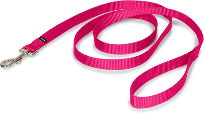 PetSafe Nylon Dog Leash - Strong, Durable, Traditional Style Leash with Easy to Use Bolt Snap - 3/8 in. x 6 ft., Royal Blue - Image 12