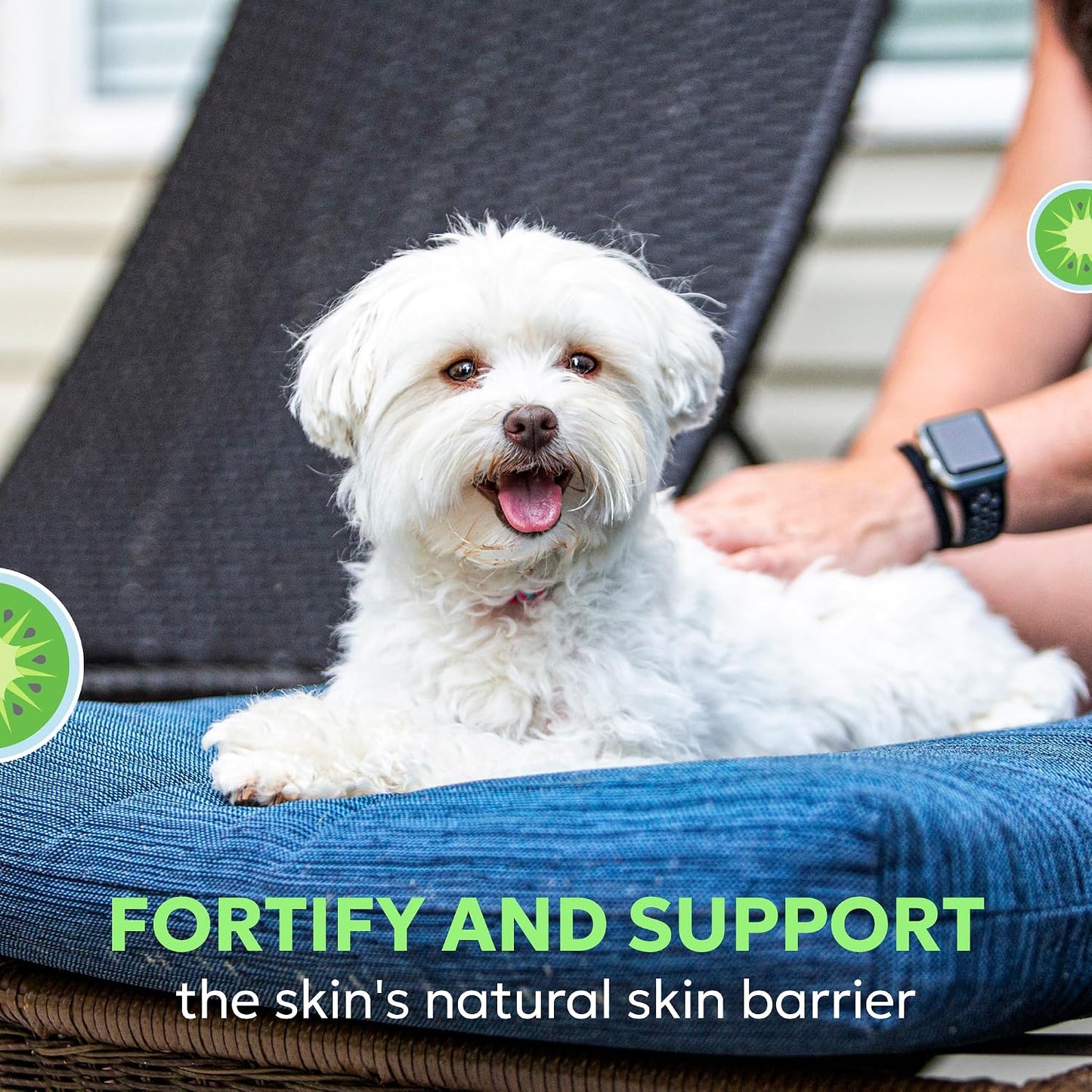 Nutramax Laboratories veterinary formula for canine and feline skin barrier protection
