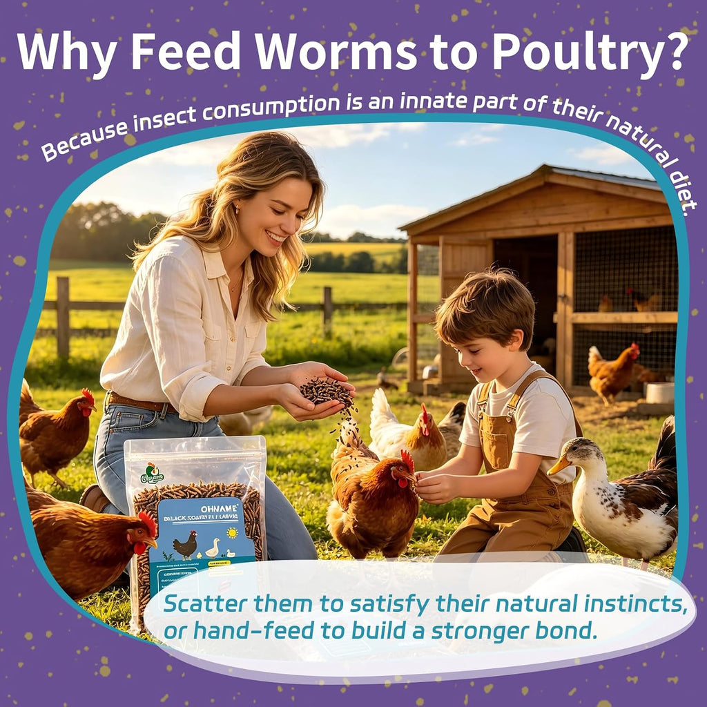 2LB Dried Mealworms for Chickens - 52% Protein for Growth - Image 6