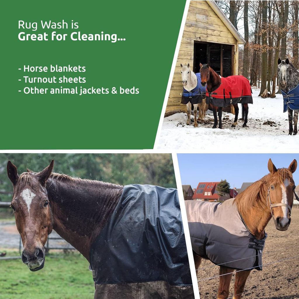 Horse wearing a fully waterproofed rug standing comfortably in a wet outdoor paddock