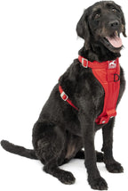 Kurgo Enhanced Strength Tru-Fit Dog Car Harness - Pet Travel Safety Harness - Crash Test Certified Fit - Five Point Adjustment - Secure Buckle - Padded Chest - Black - Medium - Image 14
