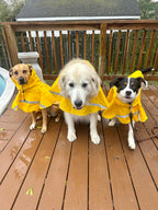 HAPEE yellow hooded dog slicker demonstrating full body rain coverage