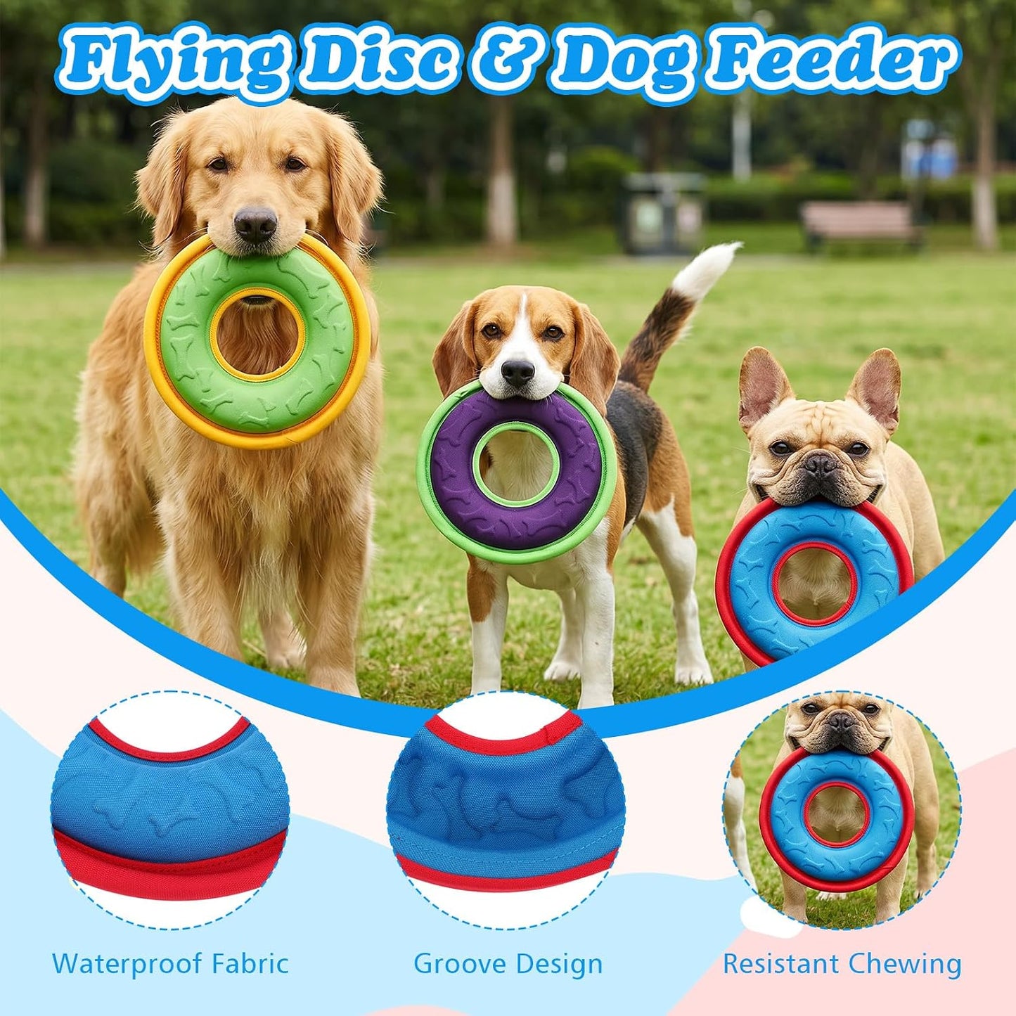 Blue green and purple dog fetch discs set