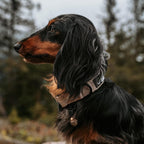 Handcrafted copper pet bell two tone design