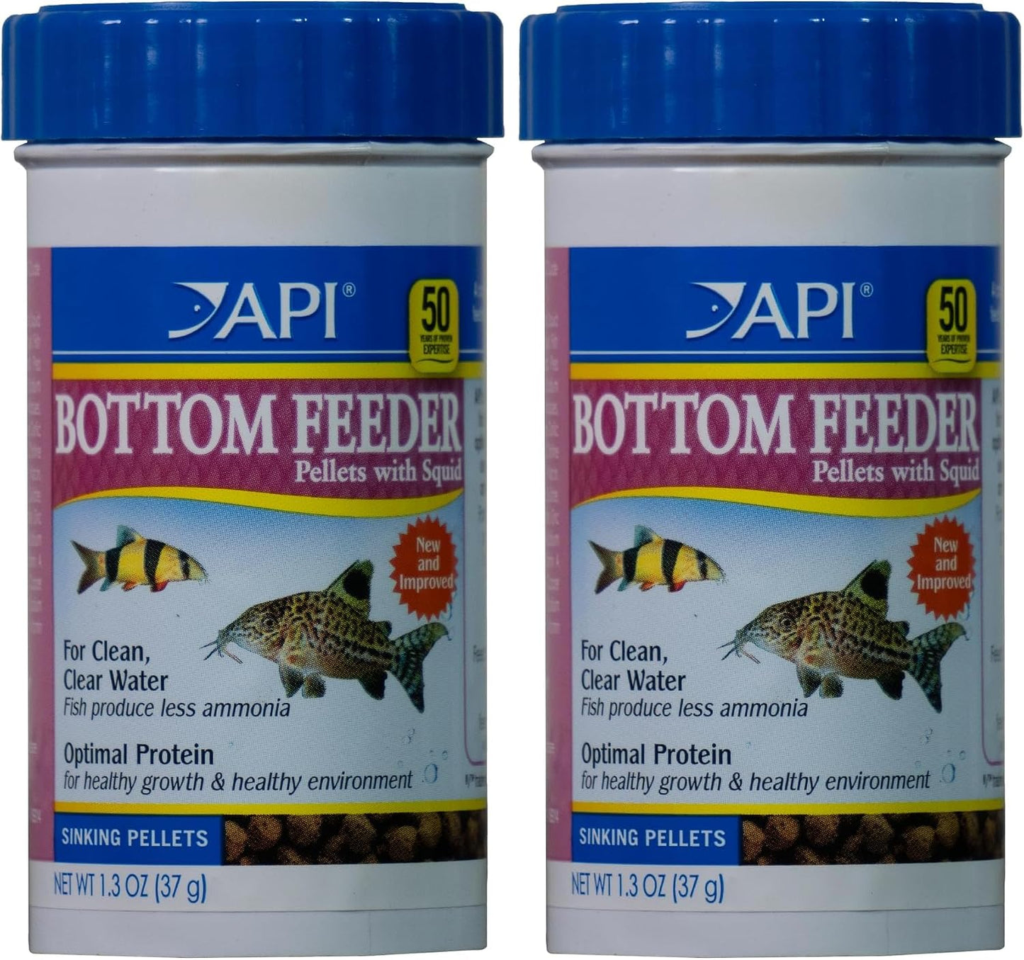 Bottom feeding fish eating API pellet food in a tank
