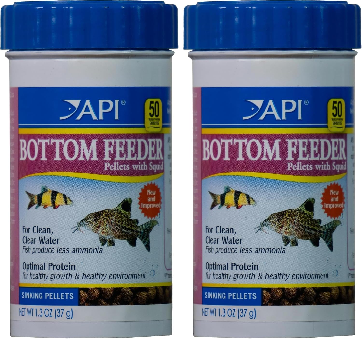 Bottom feeding fish eating API pellet food in a tank