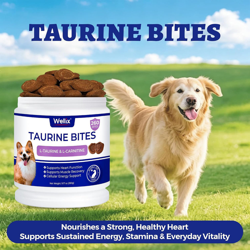 Wellix 9.17 oz, 25% Taurine for Dogs - Healthy Heart Supplements for Dog Chewable with CoQ10, Fish Oil, Vitamins, L-Carnitine - Heart Muscle Function & Cardiovascular Health, Antioxidant Support - Image 9