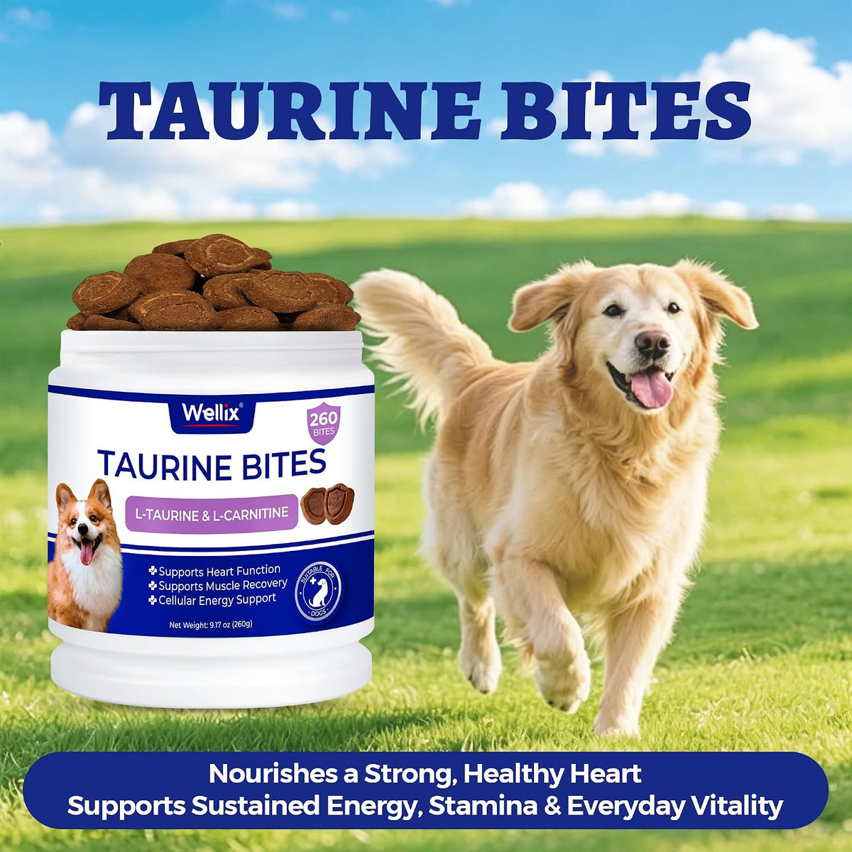 Wellix 9.17 oz, 25% Taurine for Dogs - Healthy Heart Supplements for Dog Chewable with CoQ10, Fish Oil, Vitamins, L-Carnitine - Heart Muscle Function & Cardiovascular Health, Antioxidant Support - Image 9