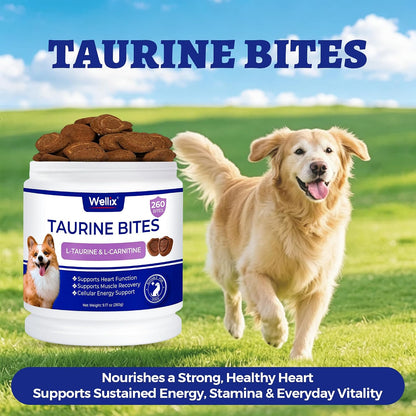 Wellix 9.17 oz, 25% Taurine for Dogs - Healthy Heart Supplements for Dog Chewable with CoQ10, Fish Oil, Vitamins, L-Carnitine - Heart Muscle Function & Cardiovascular Health, Antioxidant Support - Image 9