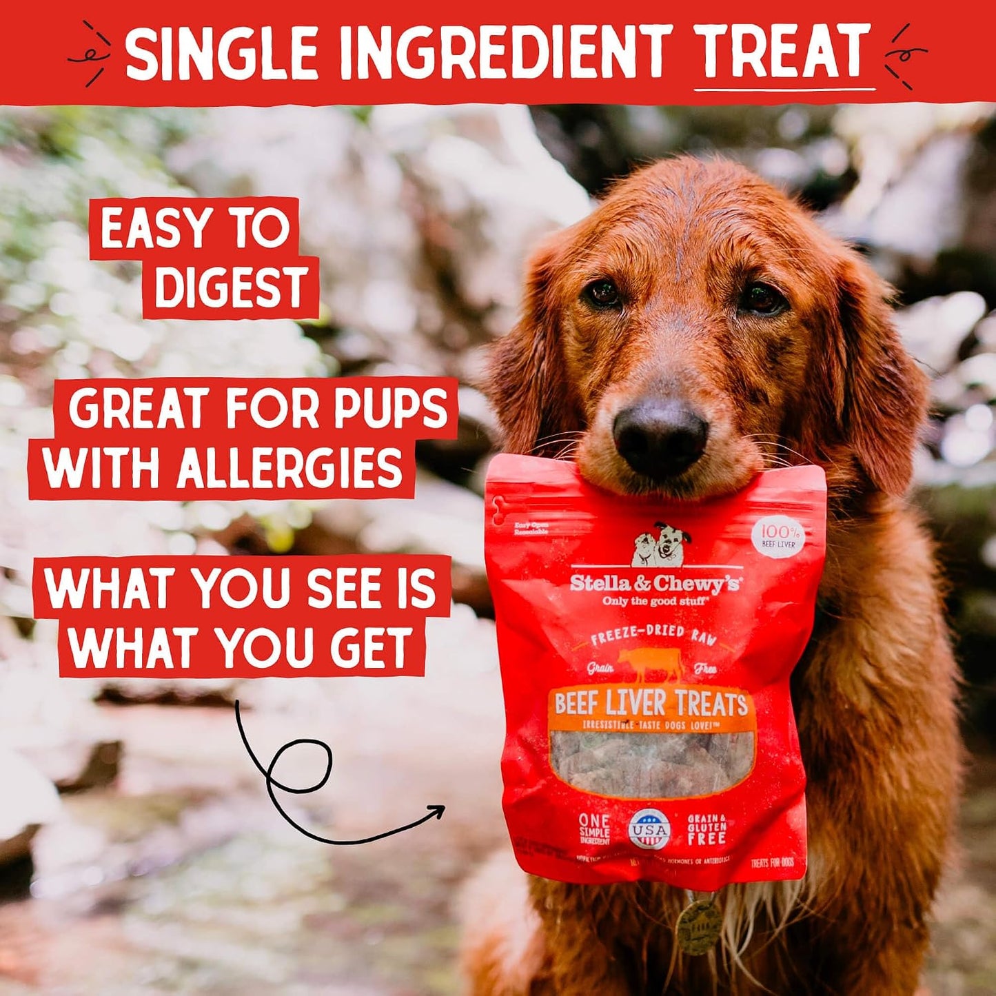Stella and Chewys single ingredient beef liver treats raw dog snacks background details