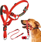 Dog Headcollar With Leash And Safety Strap Stops Heavy Pulling On The Leash Padded Reflective Head Halter For Small Medium Large Dogs Adjustable Head Harness For Training And Walking, (L, Black) - Image 9