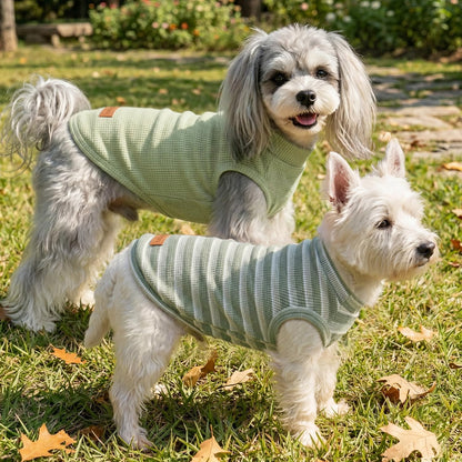 Comfortable fit of sleeveless dog vest on small dog