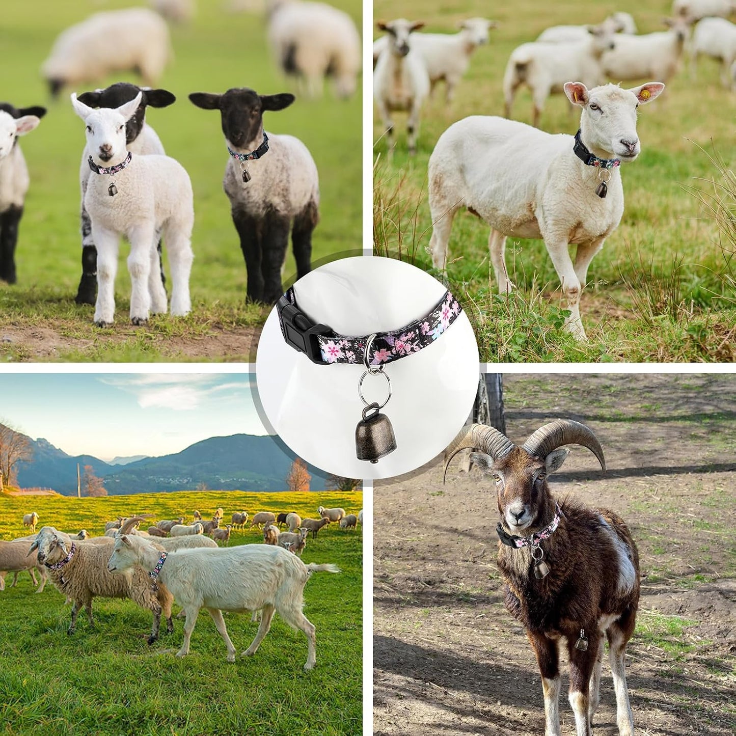 High density nylon pet collar set with grazing bells laid out flat to demonstrate the adjustable length range