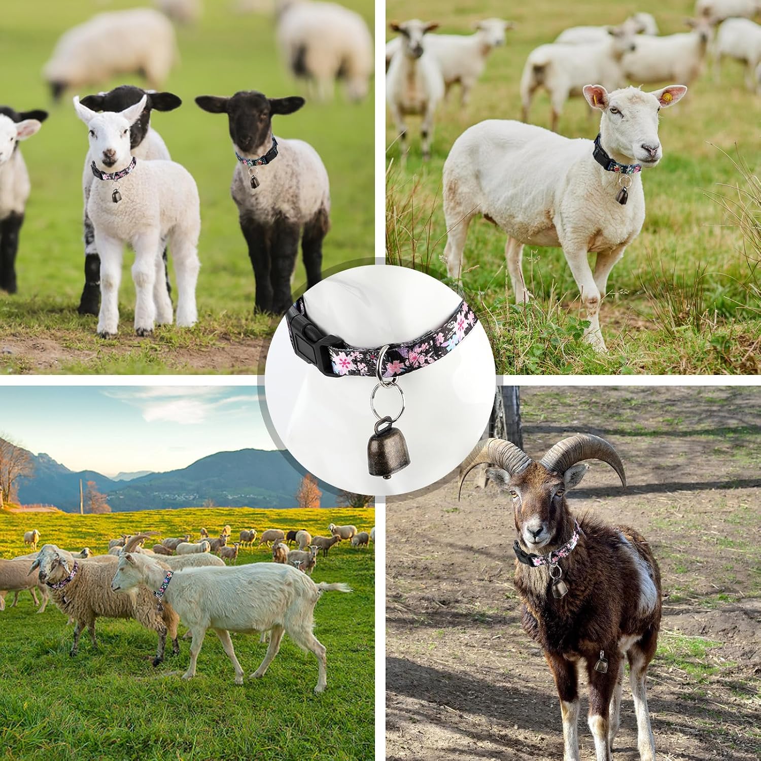 High density nylon pet collar set with grazing bells laid out flat to demonstrate the adjustable length range