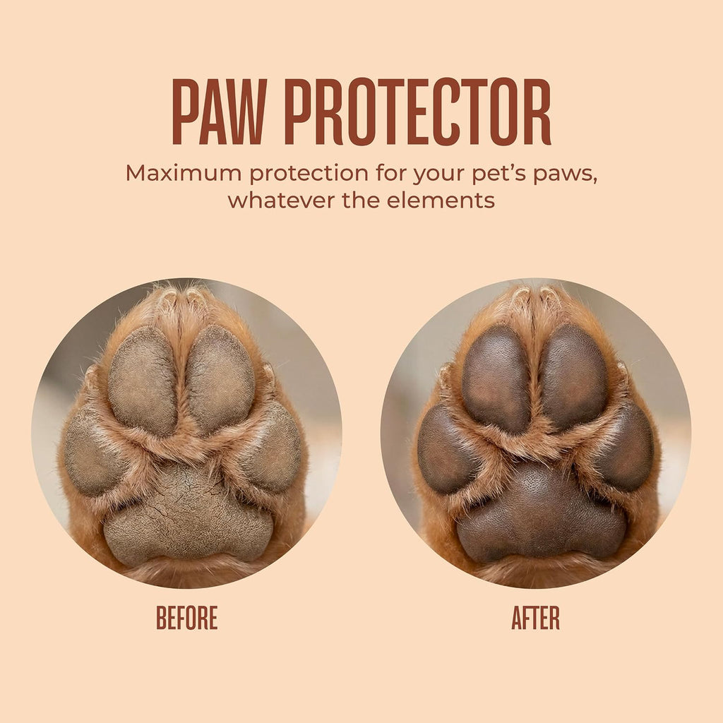 WagWell microbiome-friendly dog skincare